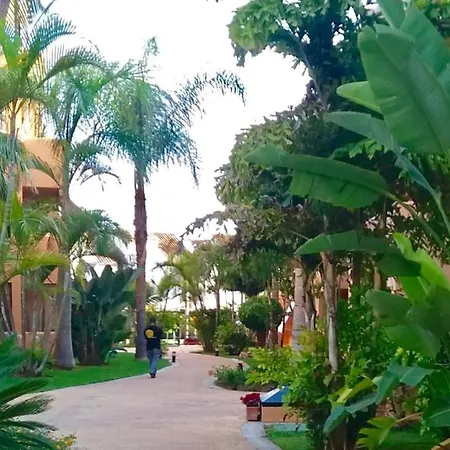 Alicate Beachfront - Luxury Apartment-1 Apartment *